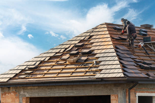 Fast & Reliable Emergency Roof Repairs in Web, AL